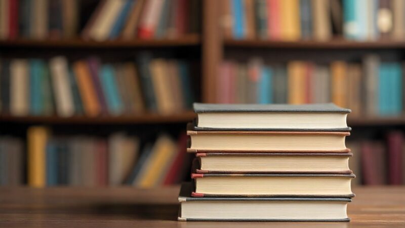 Pszczółki z przedszkola odkrywają magię biblioteki dla dzieci