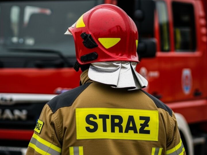 Pożar na działkach w Będzinie: strażacy walczą z ogniem w mroźnych warunkach