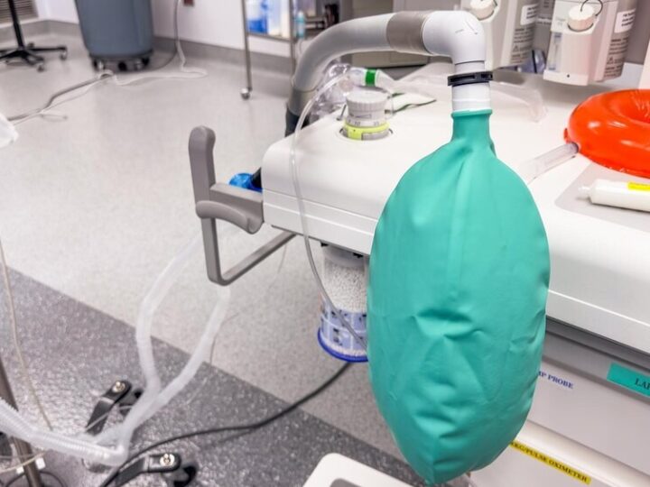 Bezpłatna infolinia wsparcia dla osób z Alzheimerem i ich rodzin