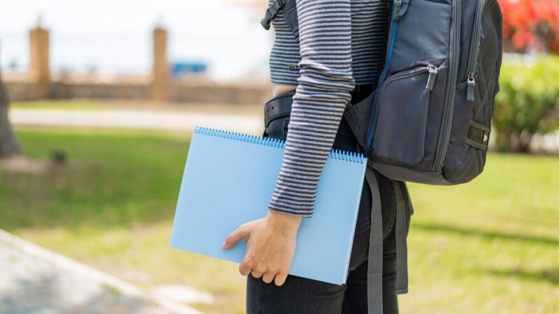 Julia Mrozik z Siewierza triumfuje w wojewódzkim konkursie chemicznym!