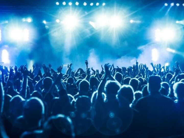 Sowy w lesie: odkryj magiczny koncert nocnych strażników przyrody