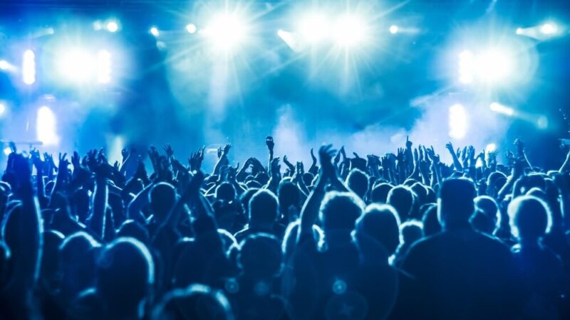 Sowy w lesie: odkryj magiczny koncert nocnych strażników przyrody