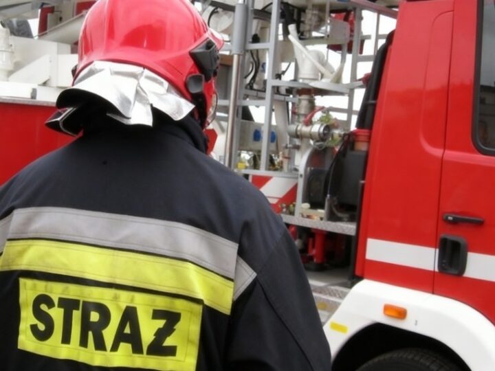 Nowe władze OSP Łagisza: Kontynuacja i plany na przyszłość