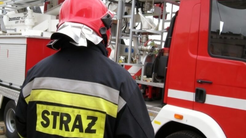 Nowe władze OSP Łagisza: Kontynuacja i plany na przyszłość