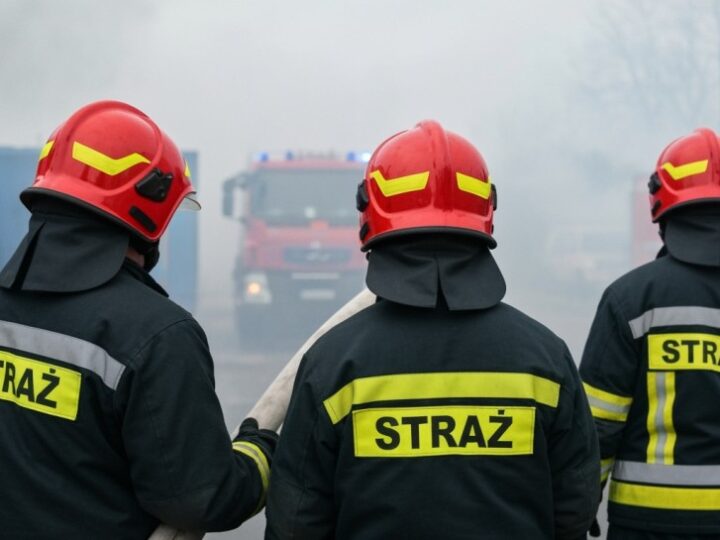 Pożar lasu w Brudzowicach: intensywna akcja ratunkowa strażaków z regionu